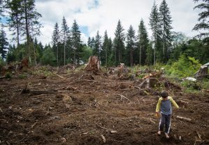 Image of young boy in a local forest