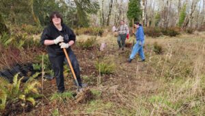 CCC students get their hands dirty at South Tongue Point to help with the wetland restoration project.