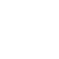 Winter Icon